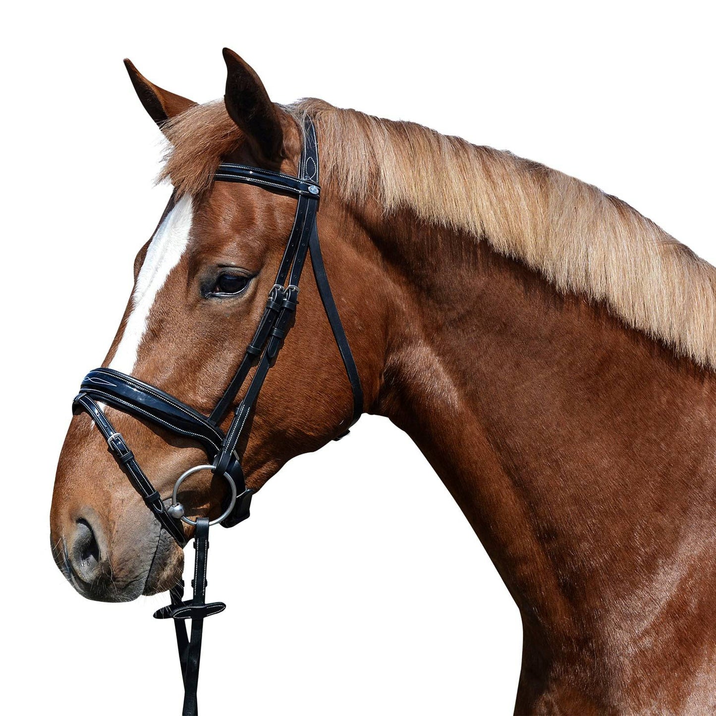EQUEST Trense Glossy Seams - schwedisch