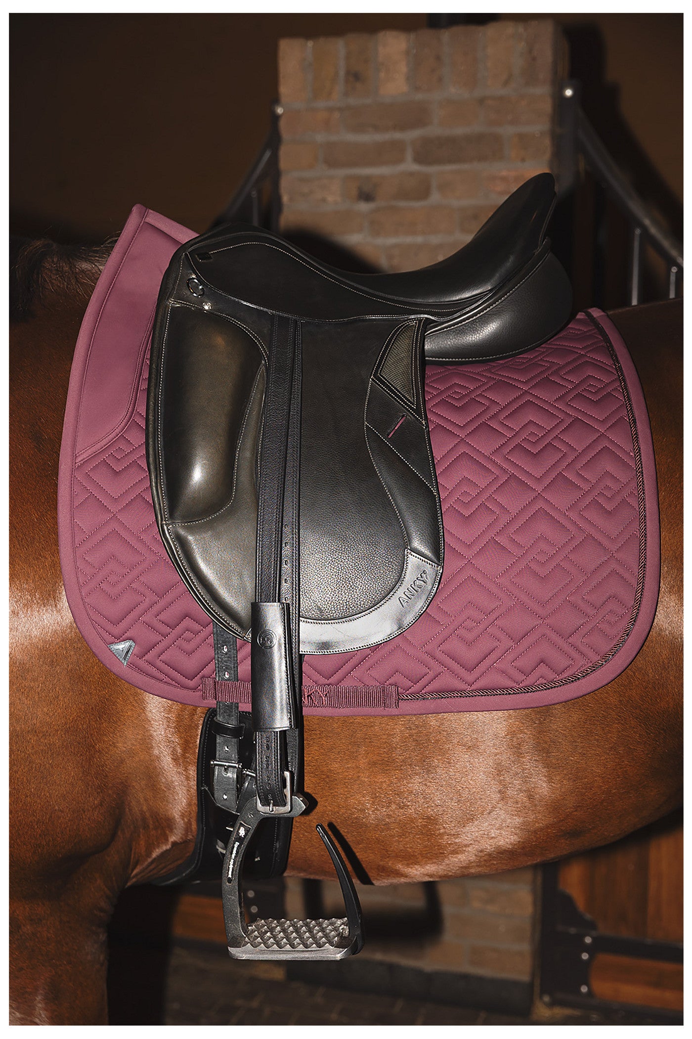 ANKY® Professional Pad Dressage XB25001 3C