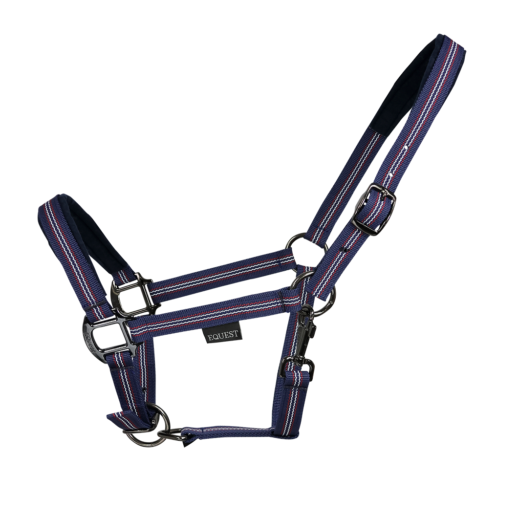 EQUEST Halfter Dual Plus | Black Finish