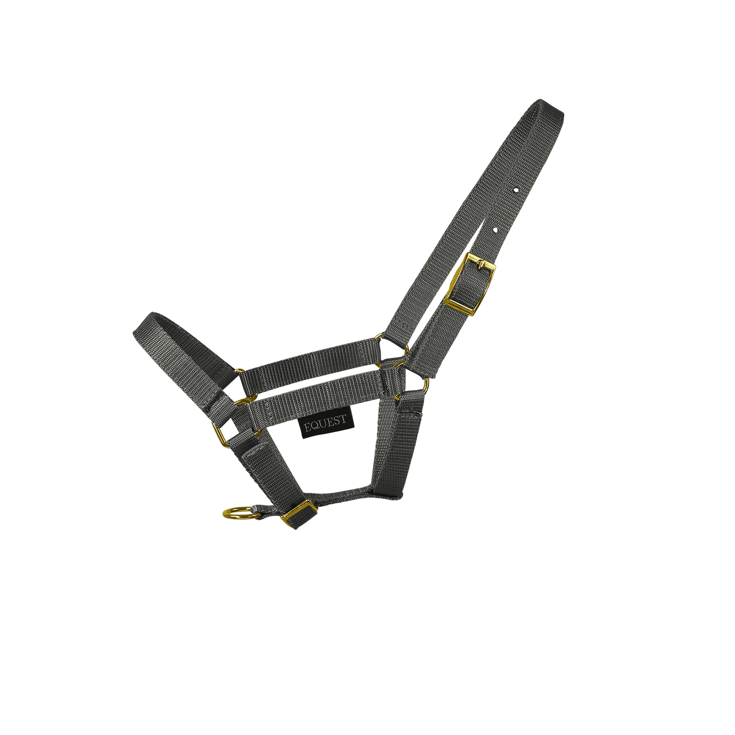 EQUEST Halfter Dual Fohlen | Messing Finish