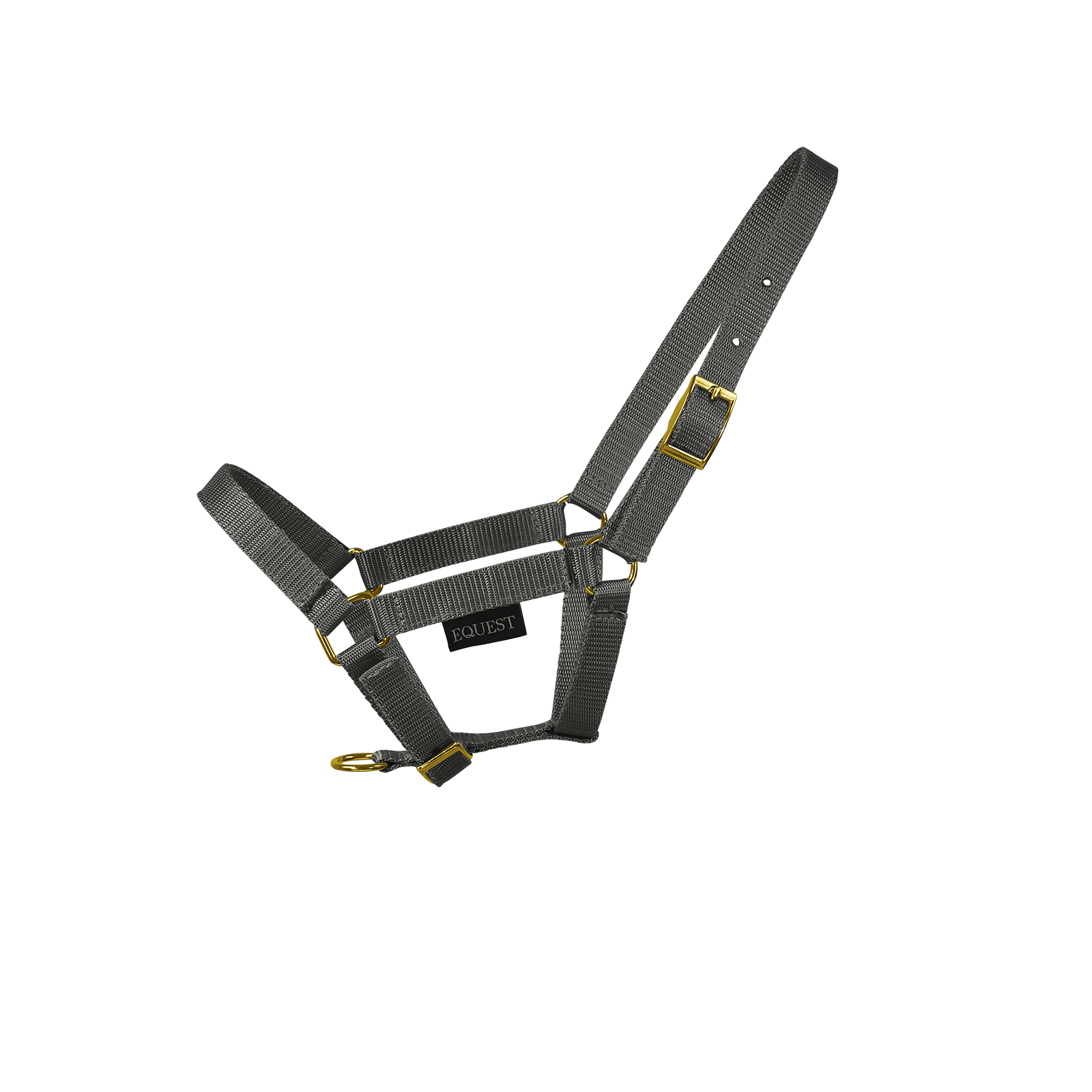 EQUEST Halfter Dual Fohlen | Messing Finish