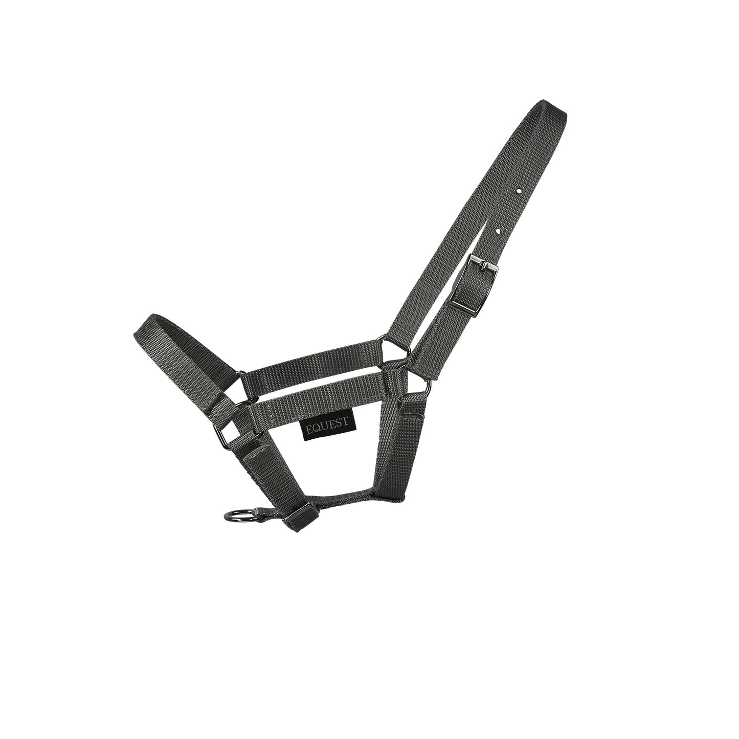EQUEST Halfter Dual Fohlen | Chrom Finish