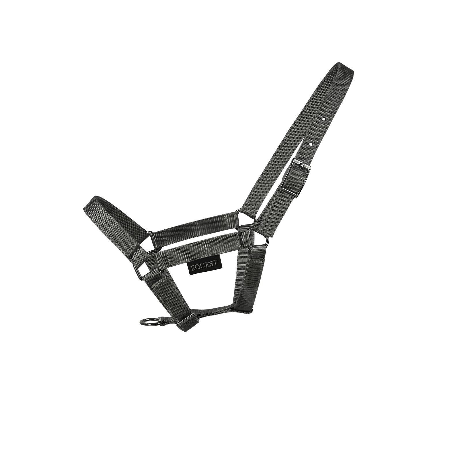 EQUEST Halfter Dual Fohlen | Chrom Finish