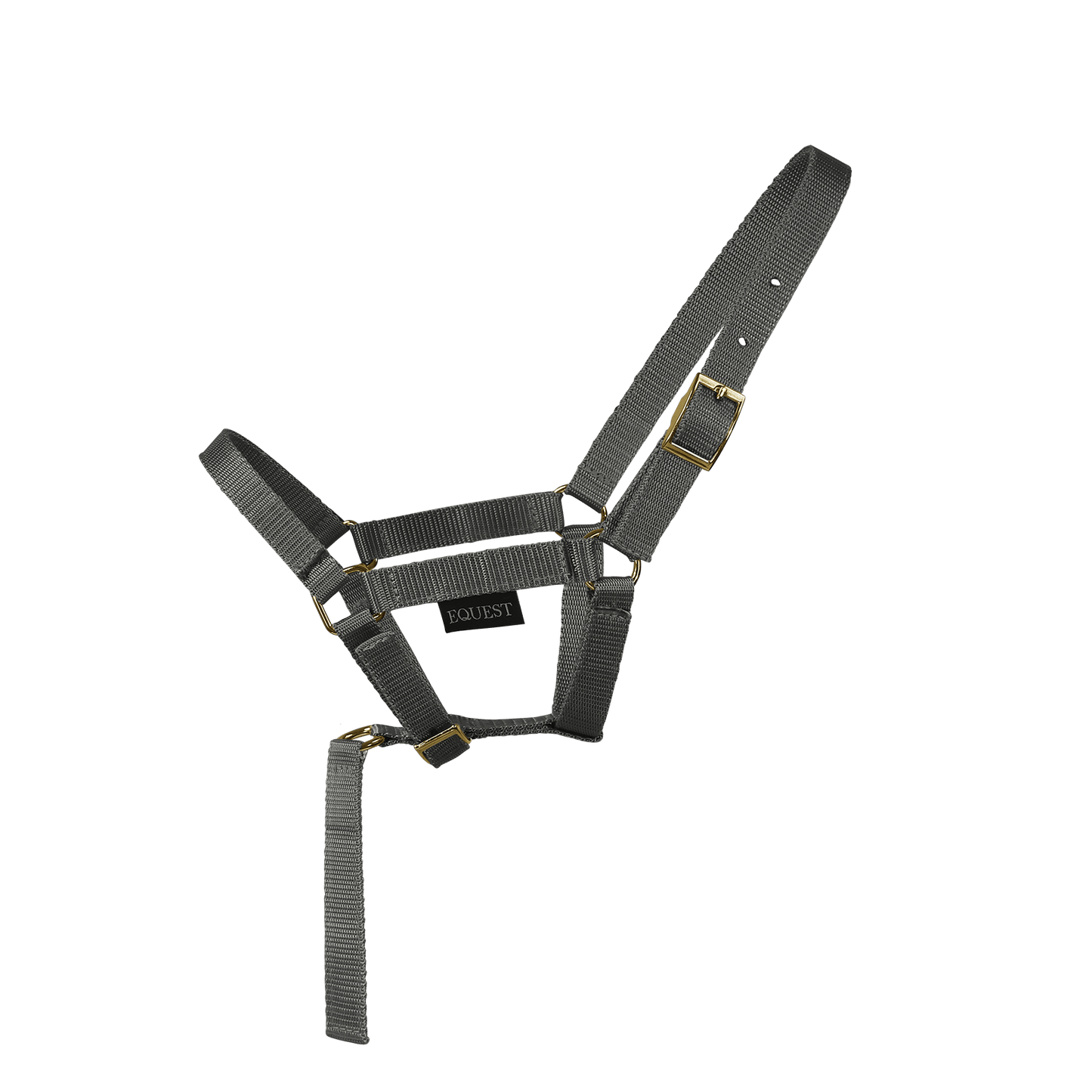EQUEST Halfter Dual Fohlen mit Haltegriff | Messing Finish