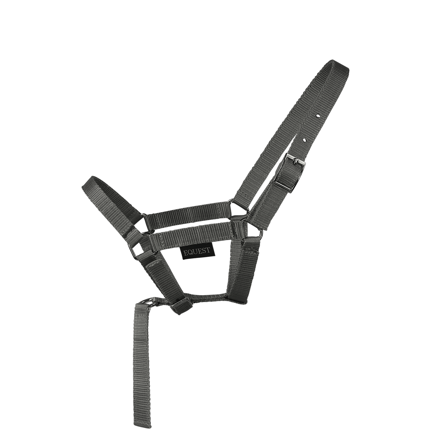 EQUEST Halfter Dual Fohlen mit Haltegriff | Chrom Finish