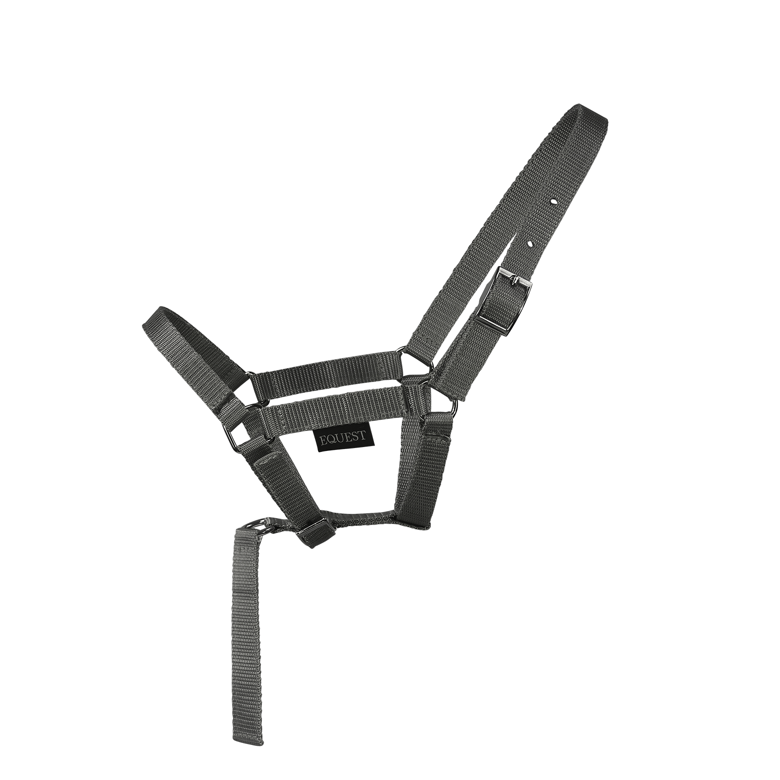 EQUEST Halfter Dual Fohlen mit Haltegriff | Chrom Finish