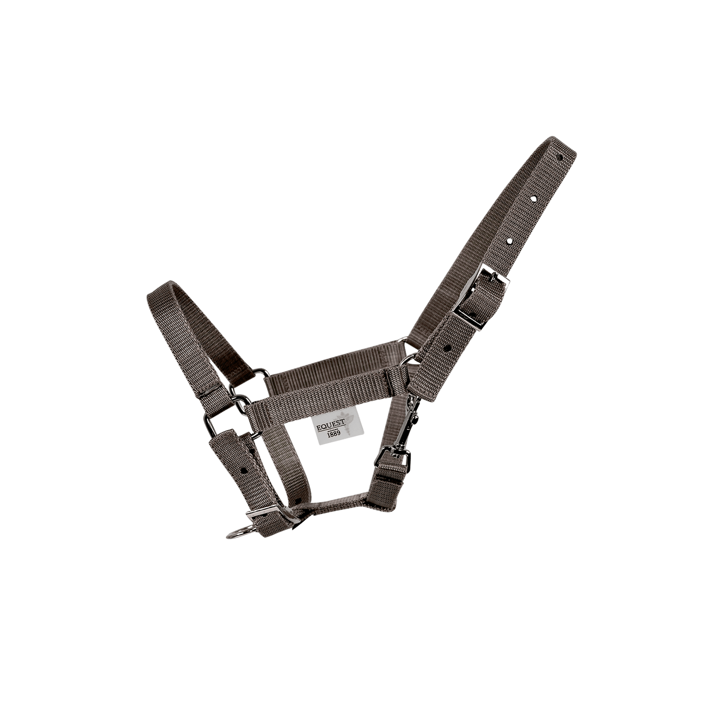 EQUEST Halfter Dual SHETTY