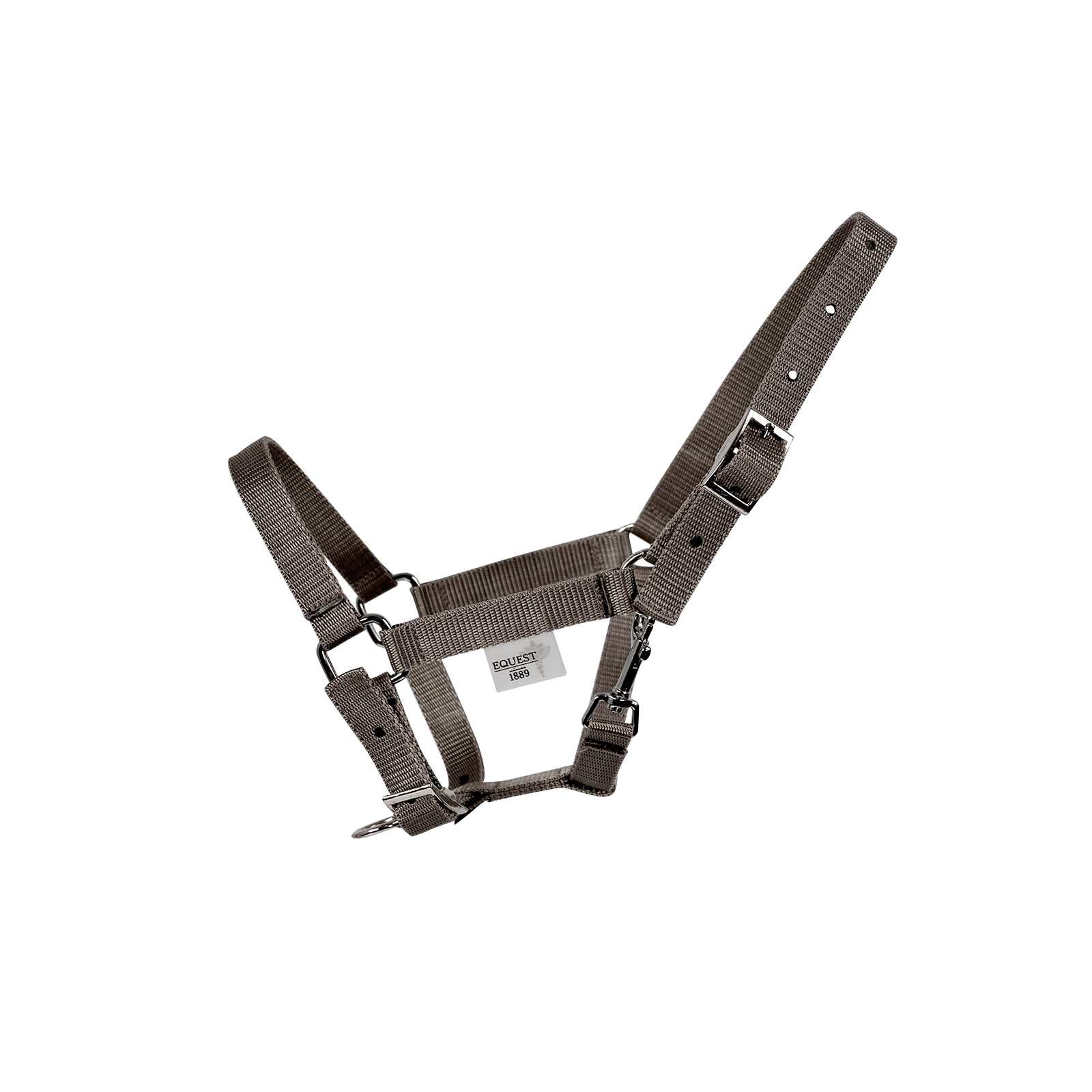 EQUEST Halfter Dual SHETTY