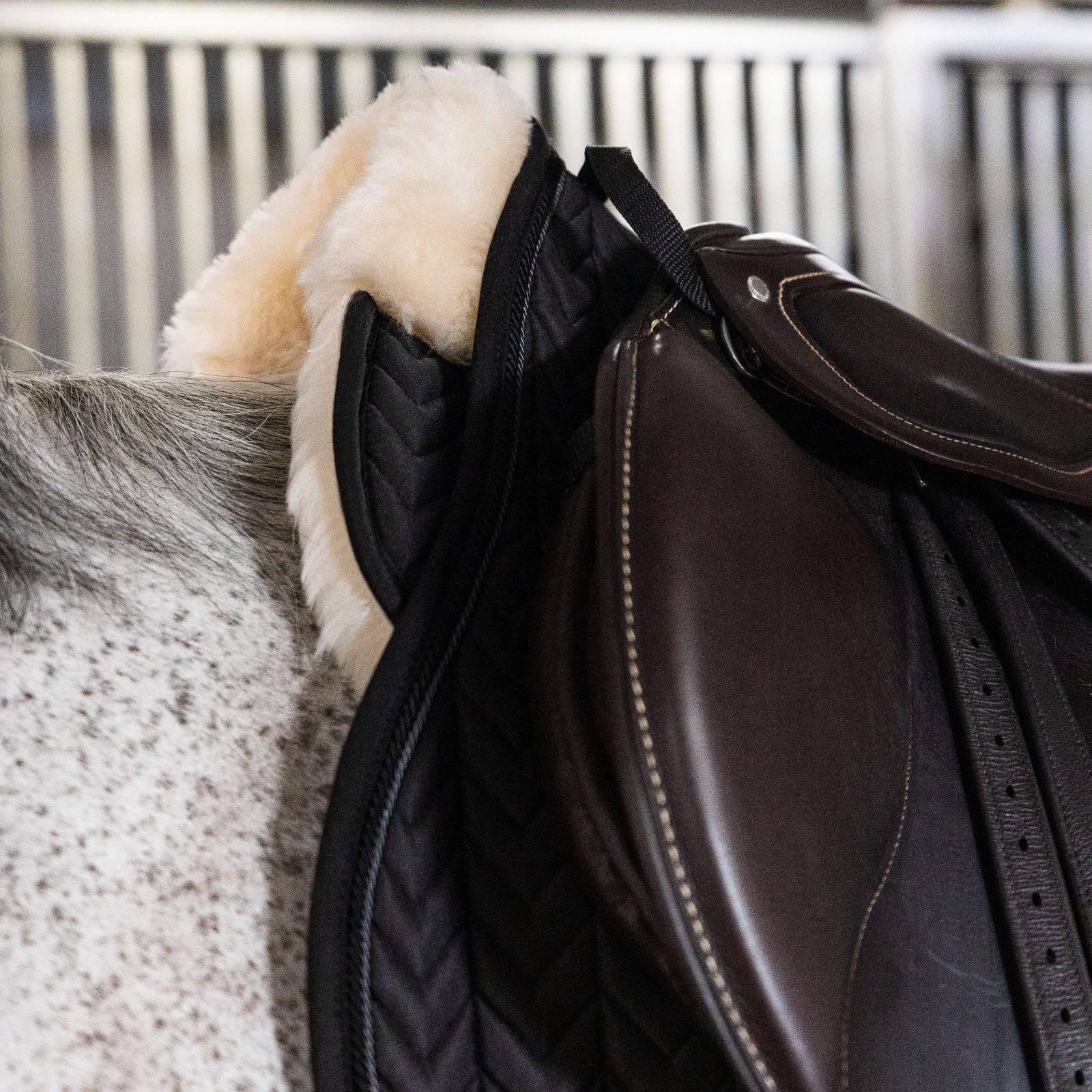 EQUEST Merino Pad