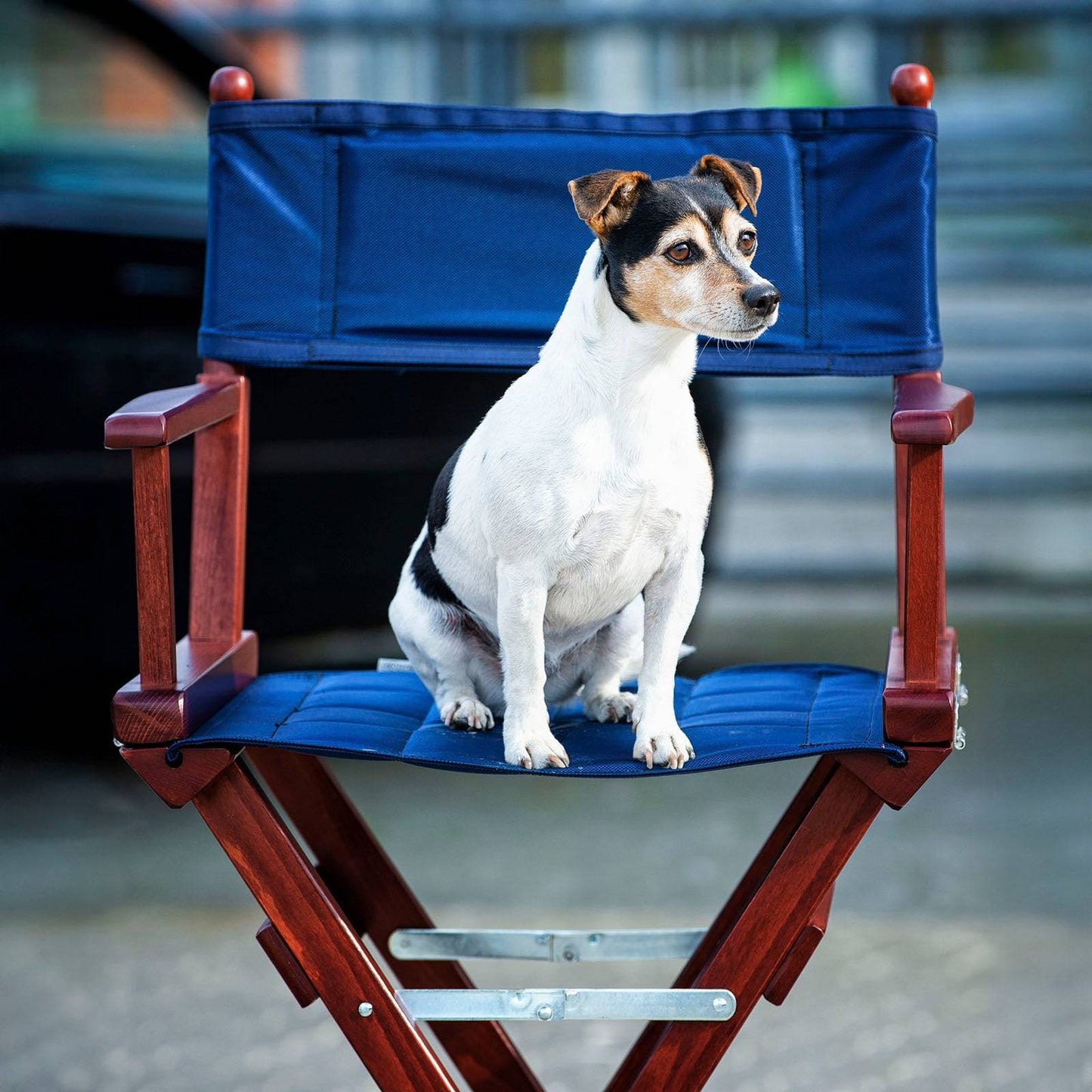 EQUEST Coach Chair OHNE Bezug