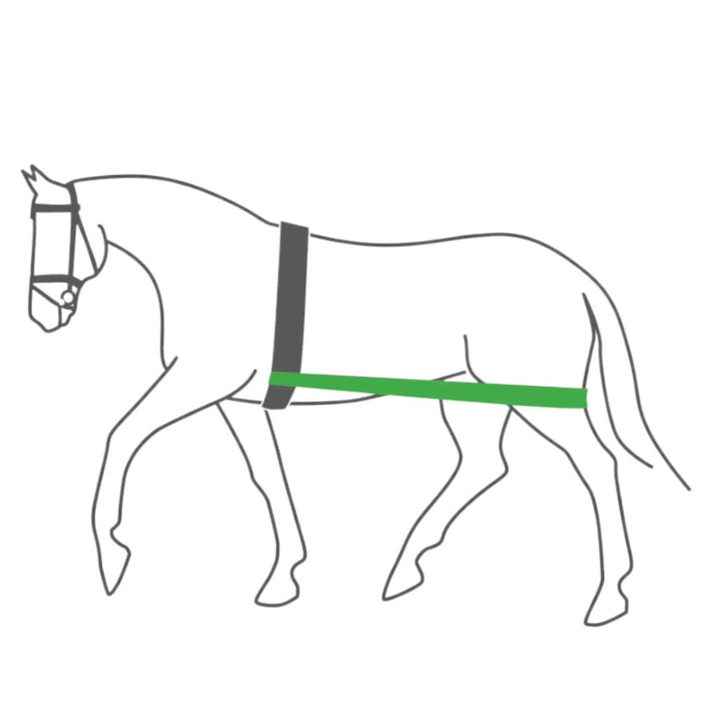 EQUEST Körper Bandage