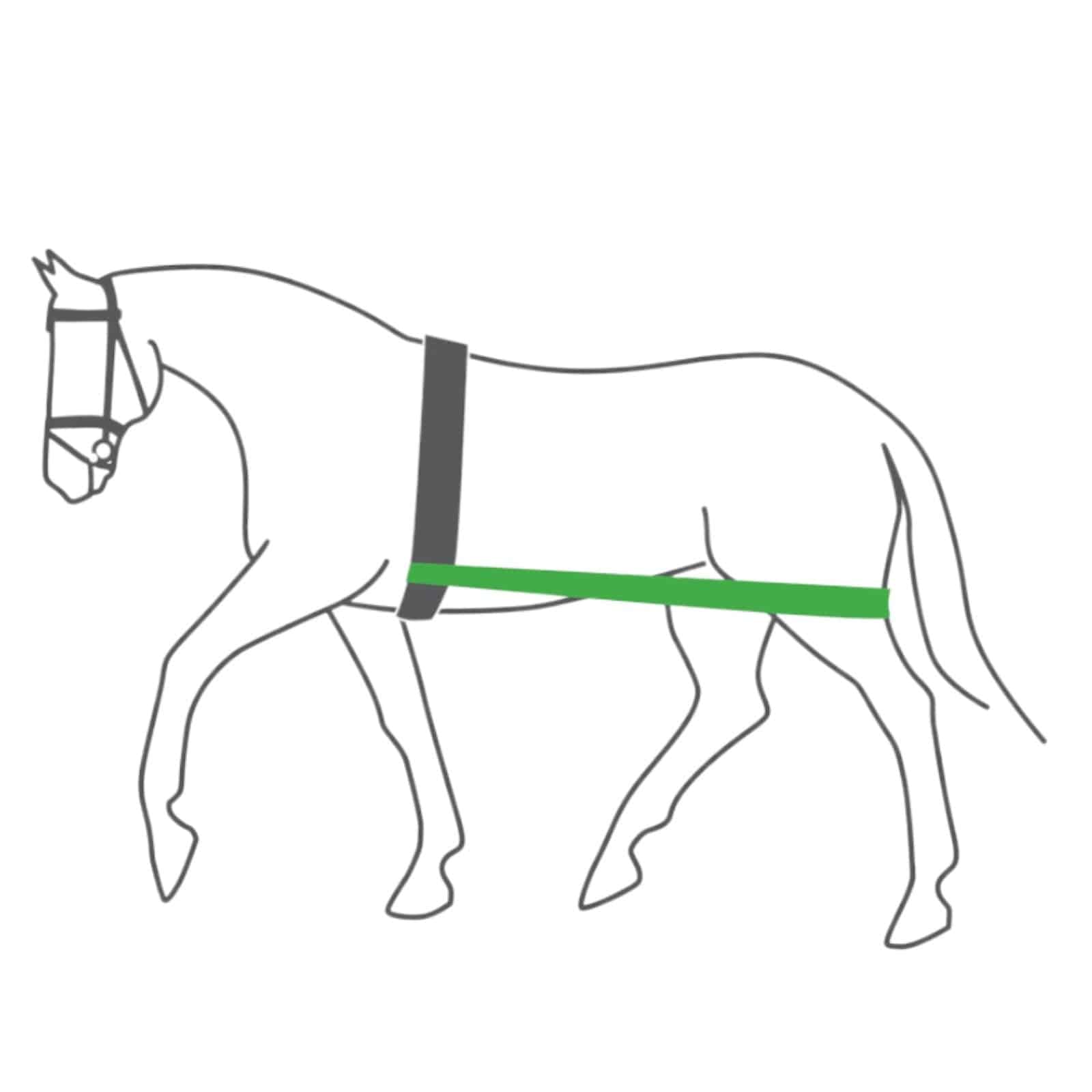 EQUEST Körper Bandage