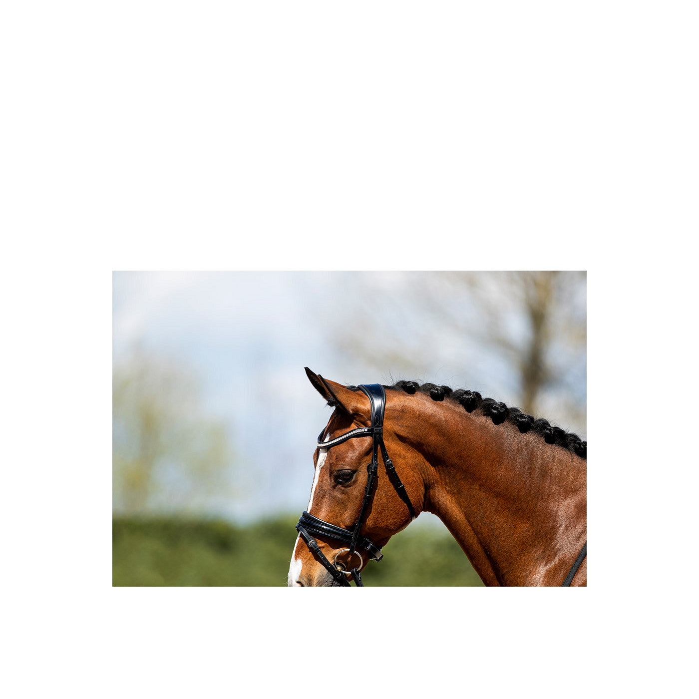 ANKY® Bridle ATH20005