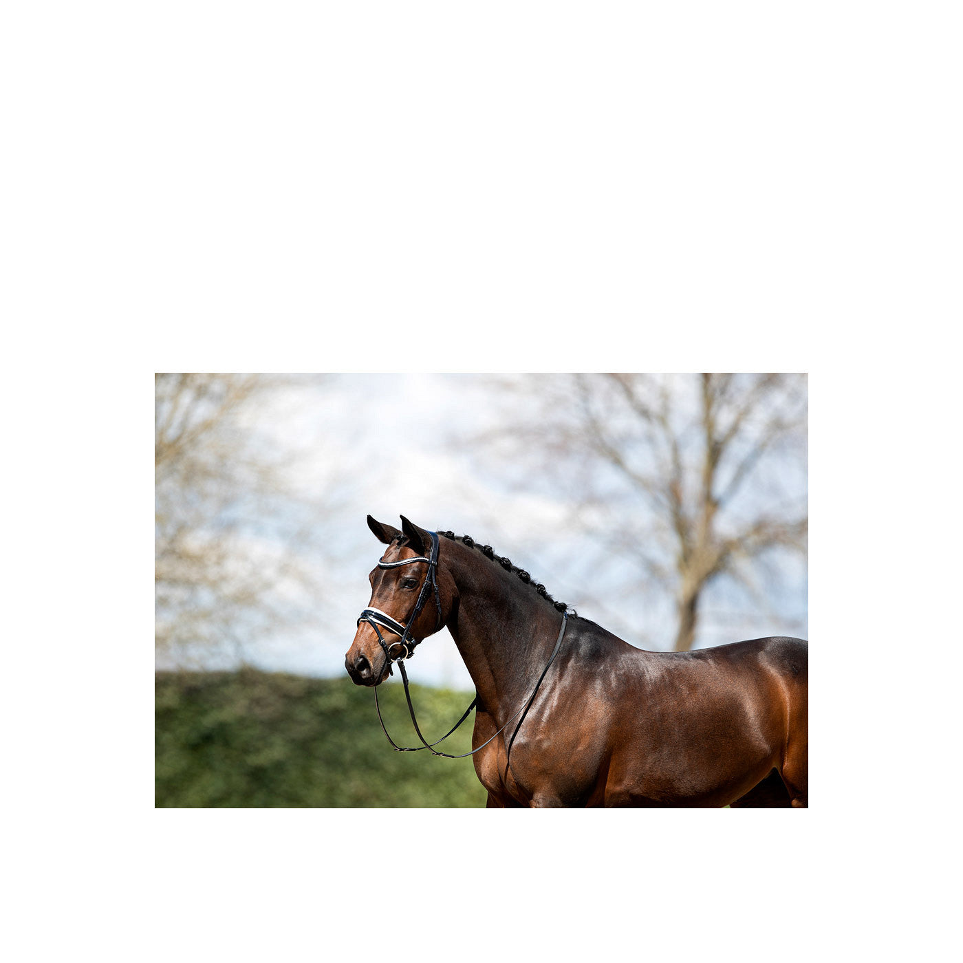 ANKY® Bridle ATH20005