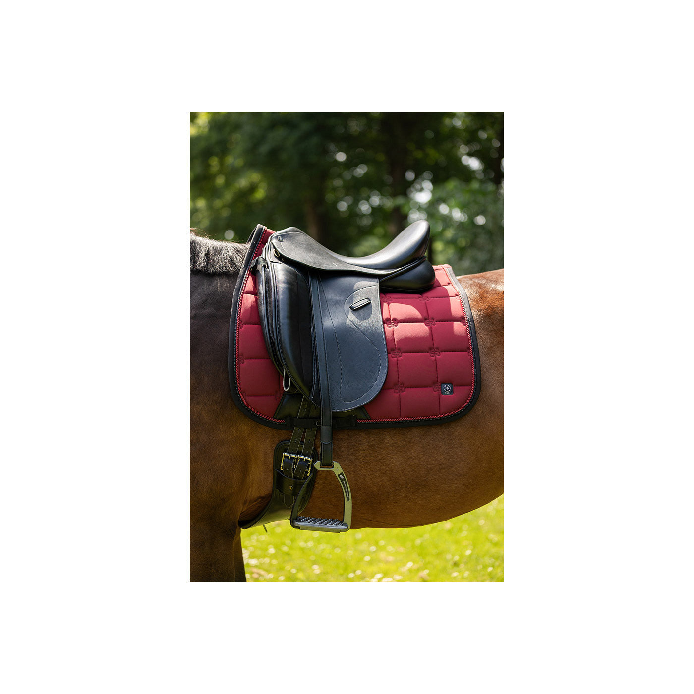BR CLX Schabracke Dressur