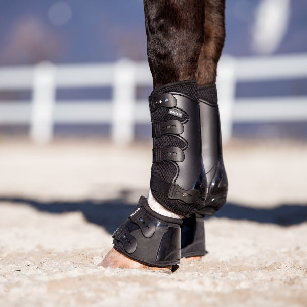 Gamaschen DRESSAGE-PRO-MESH