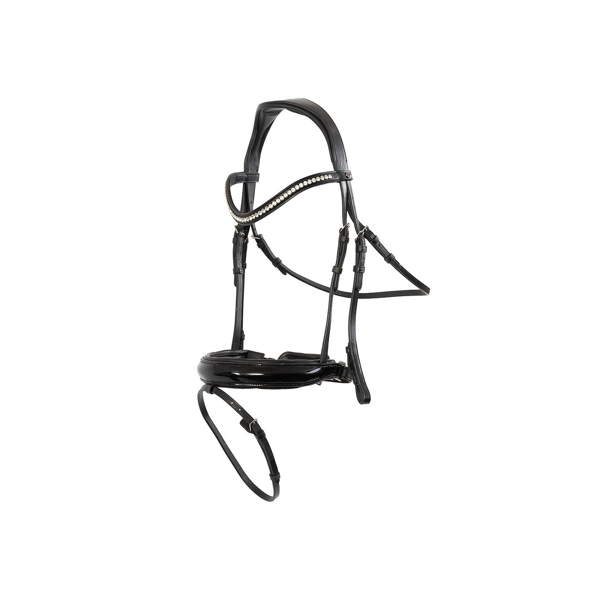 TRUST Bridle Basel