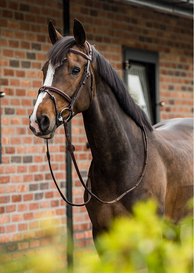 TRUST Geneva Comb.noseband bridle
