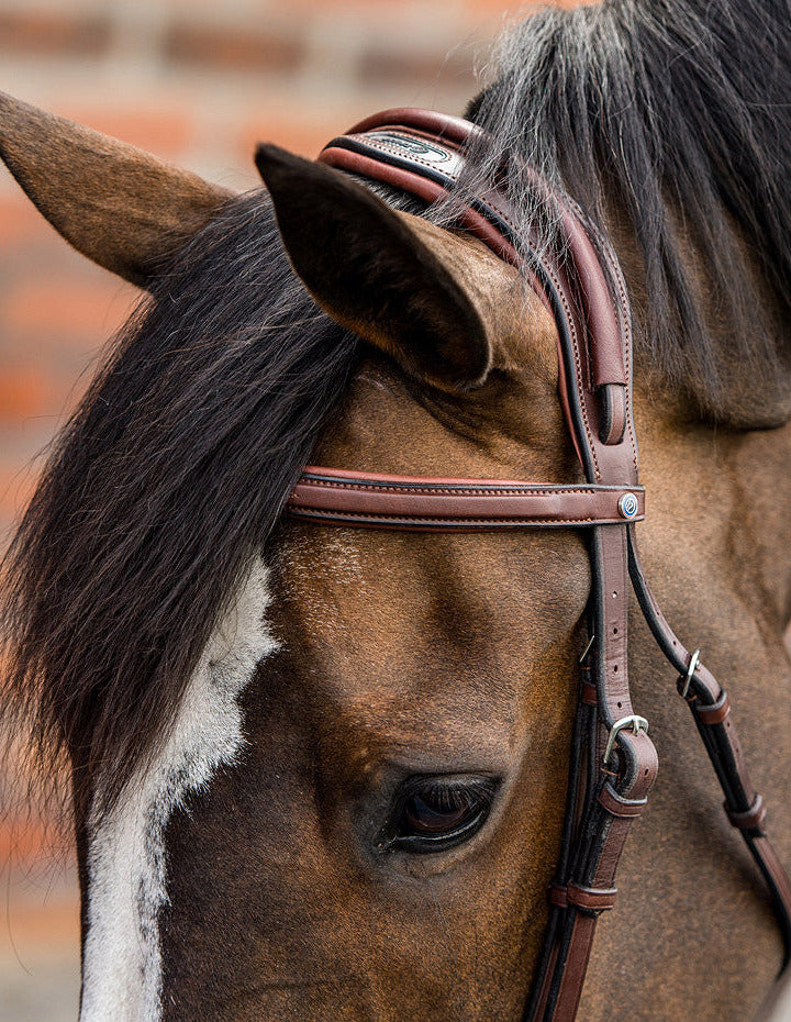 TRUST Geneva Comb.noseband bridle