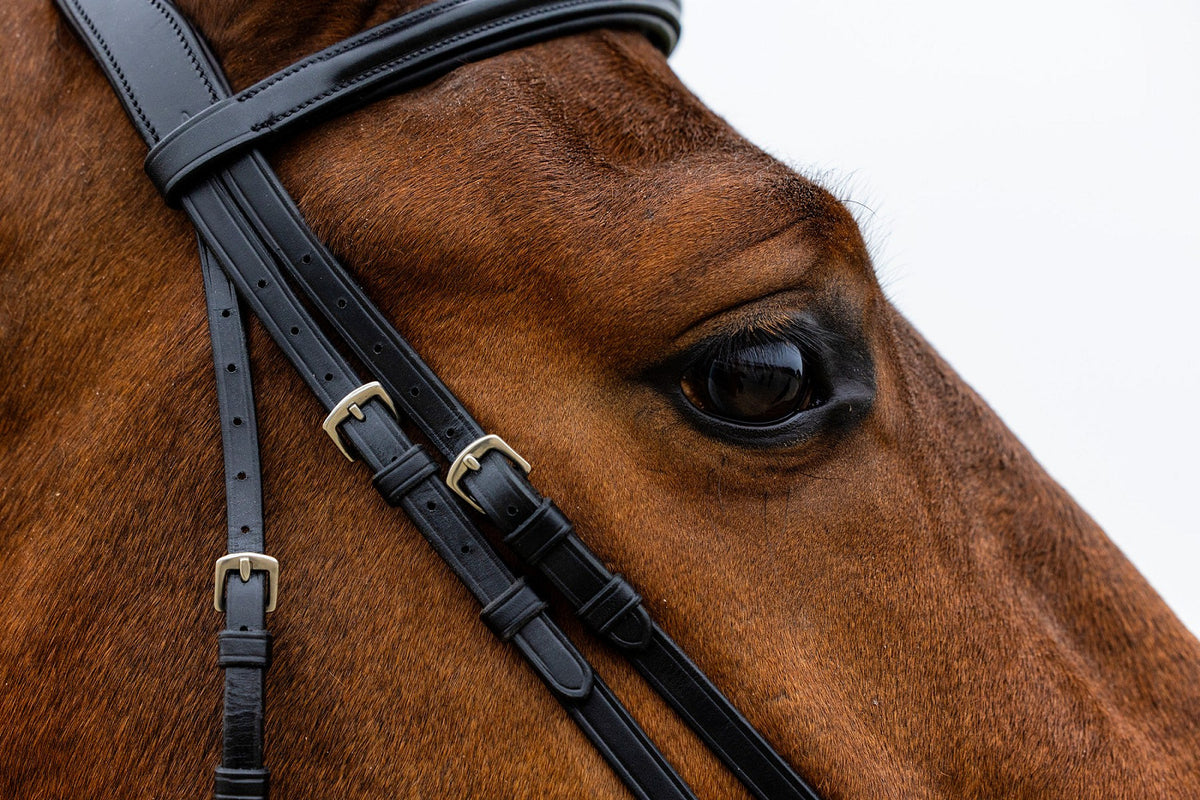 TRUST Rome Drop noseband bridle