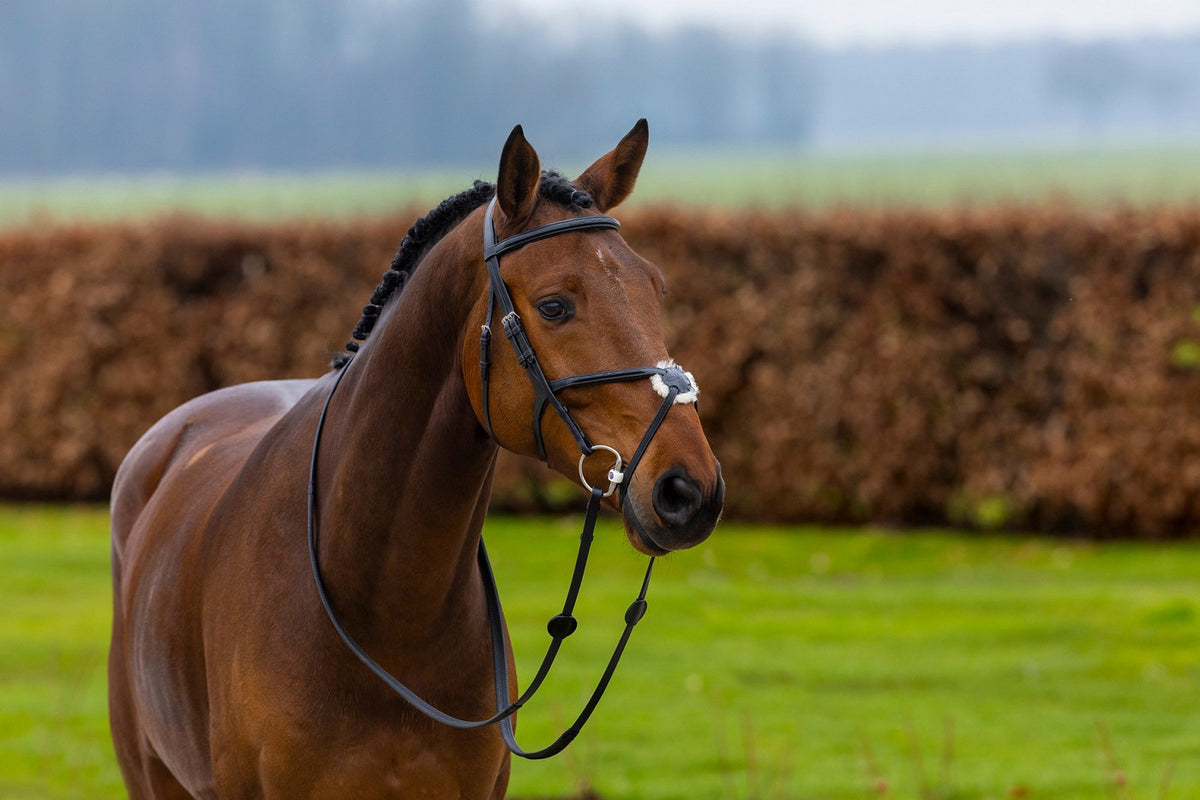 TRUST Oslo Mexican noseband bridle