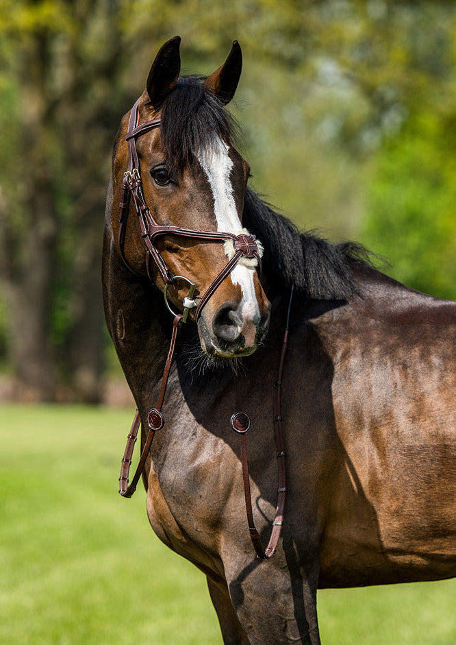TRUST Oslo Mexican noseband bridle