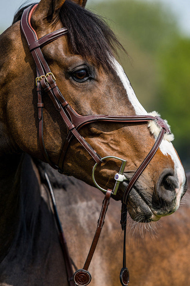 TRUST Oslo Mexican noseband bridle