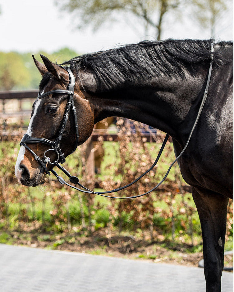 TRUST Falsterbo T-motion bridle