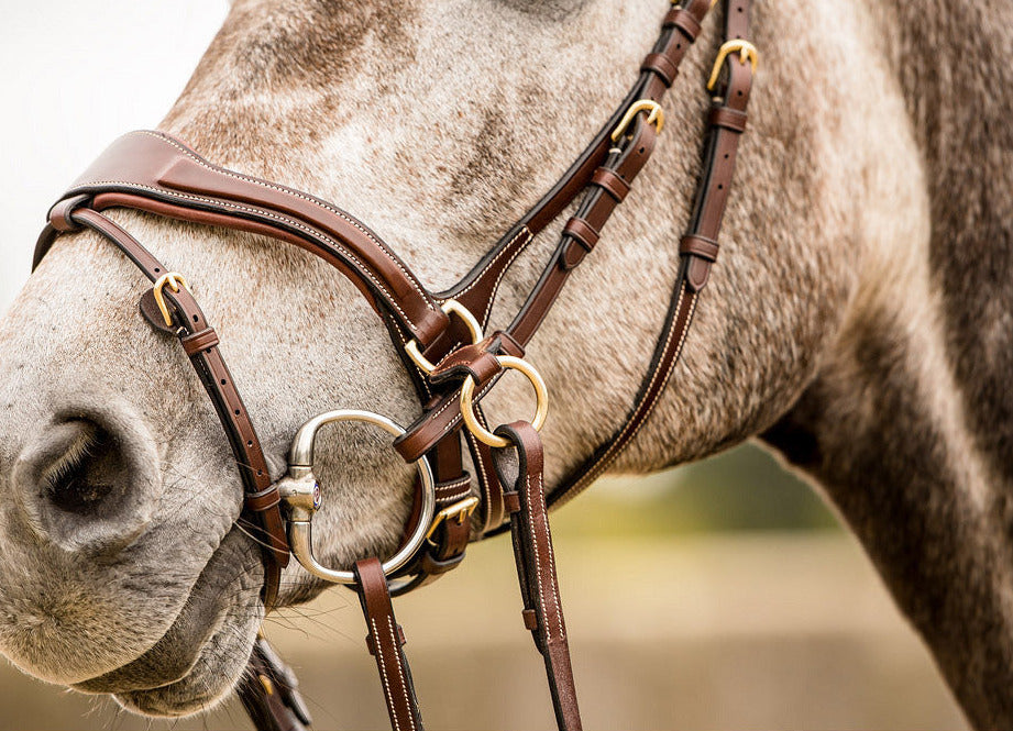 TRUST Falsterbo T-motion bridle