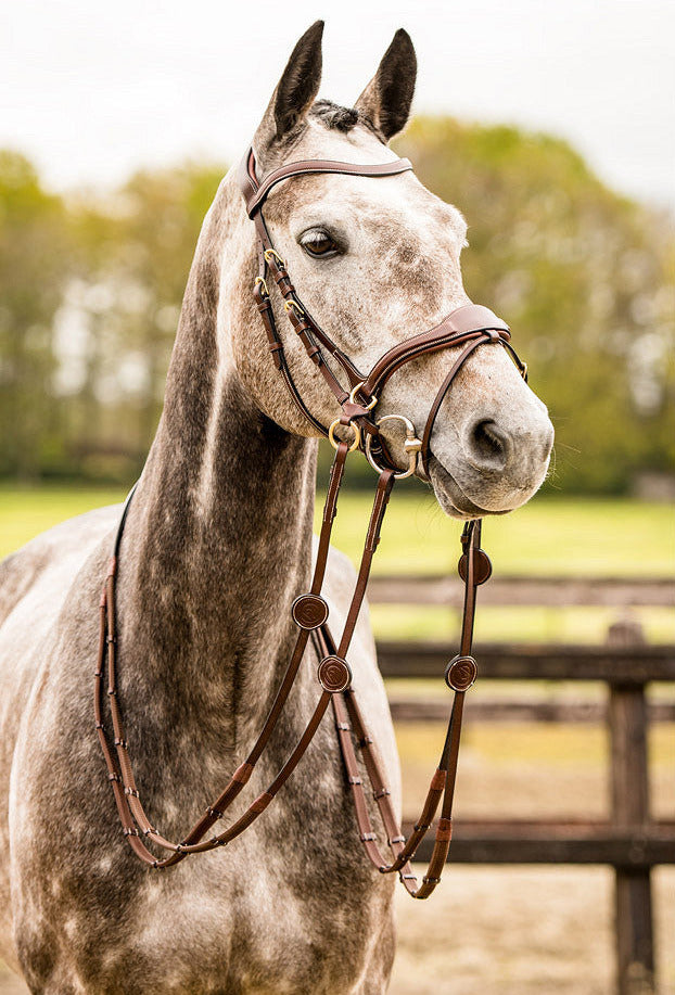 TRUST Falsterbo T-motion bridle