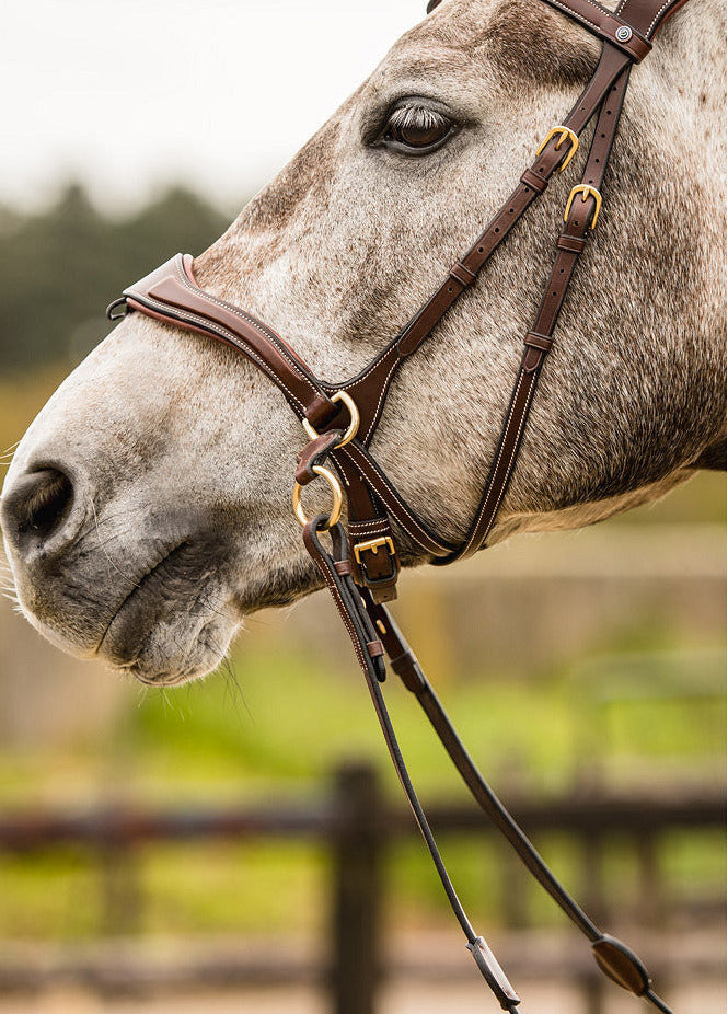 TRUST Falsterbo T-motion bridle