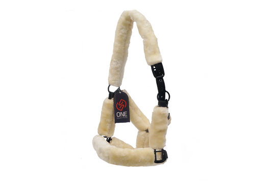 One Headcollar nylon with shee pskin