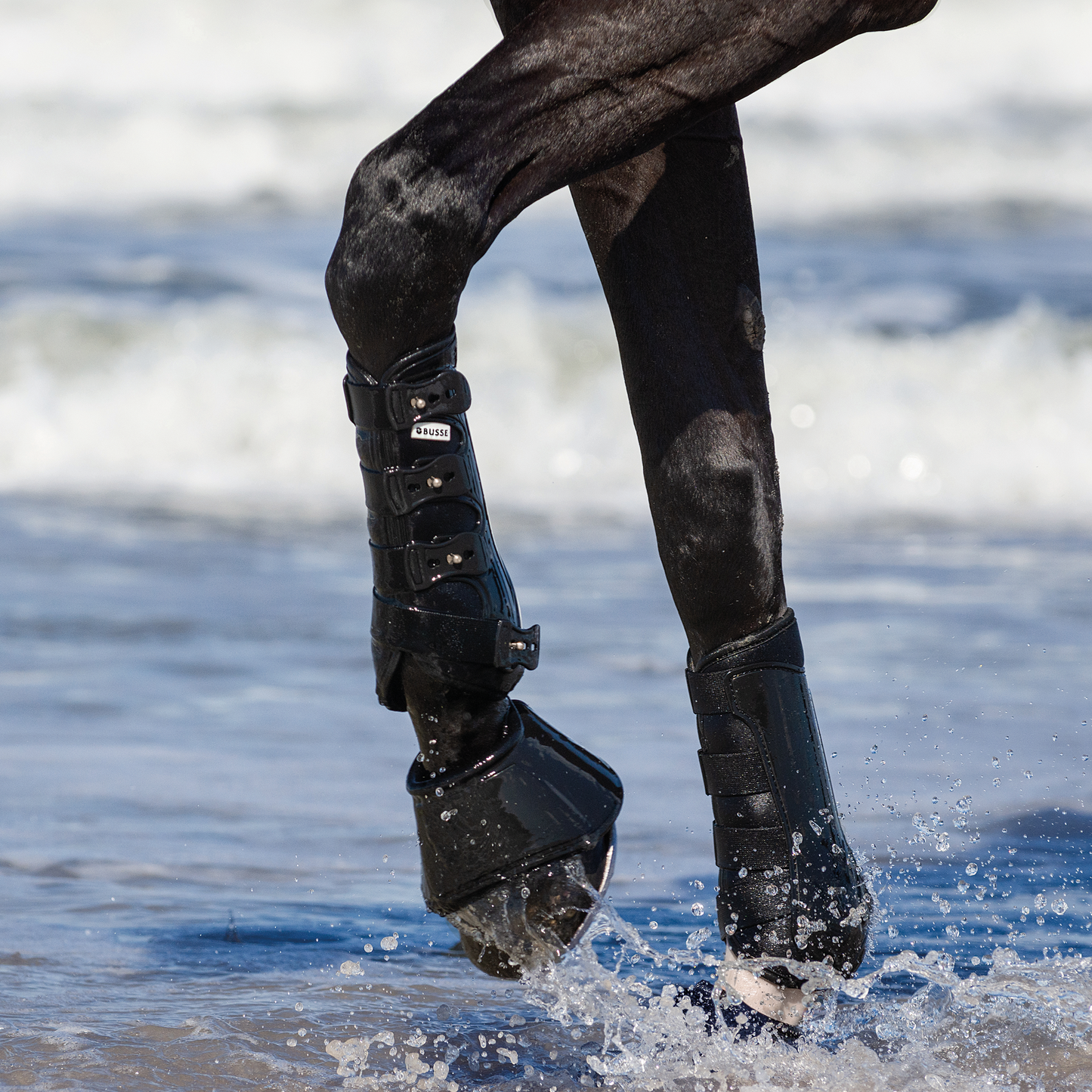 Gamaschen DRESSAGE-PRO
