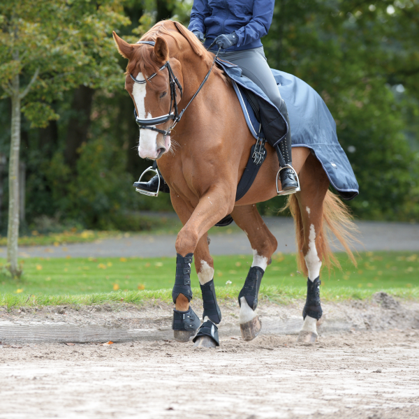 Gamaschen DRESSAGE-PRO