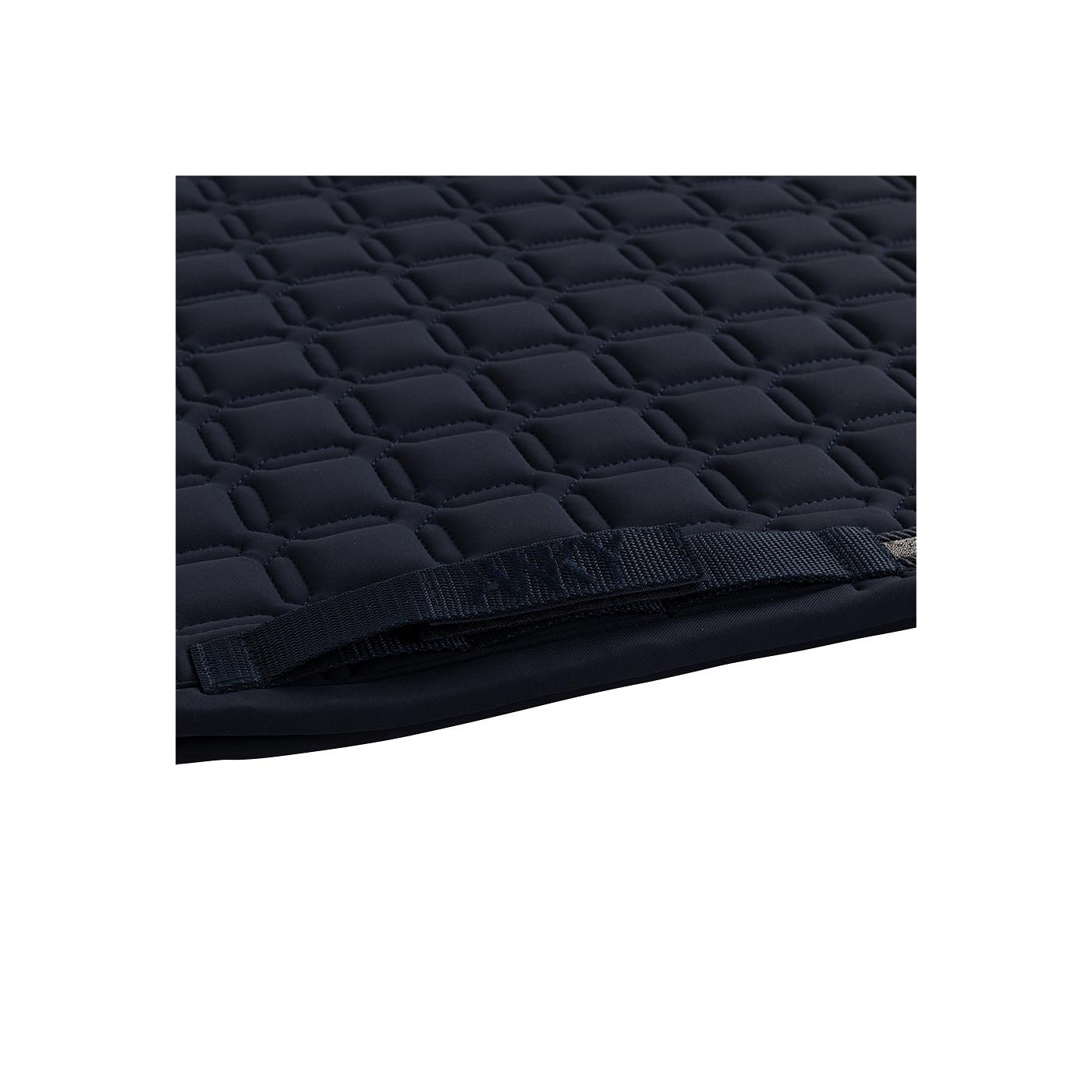 ANKY® Nylon Pad Luminous Dressage XB24003