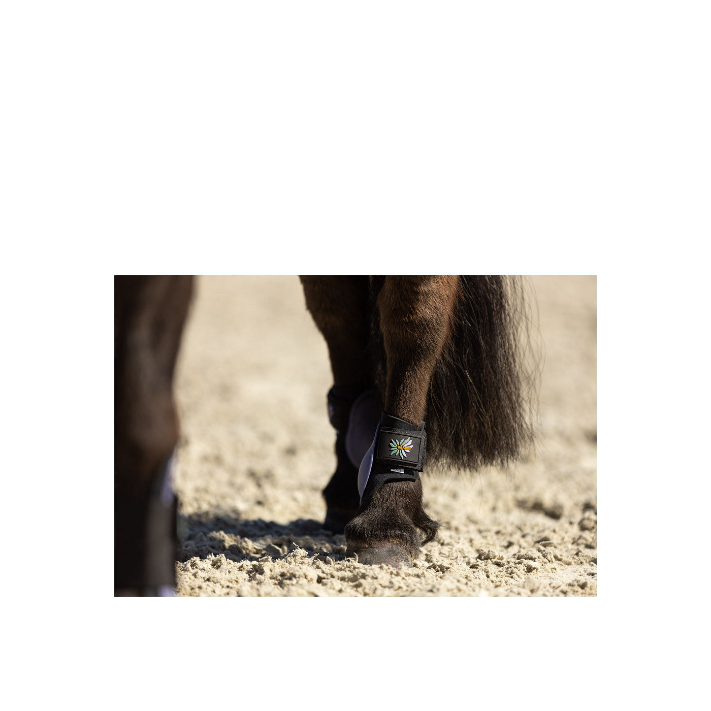 BR Mini Horse Streichkappen