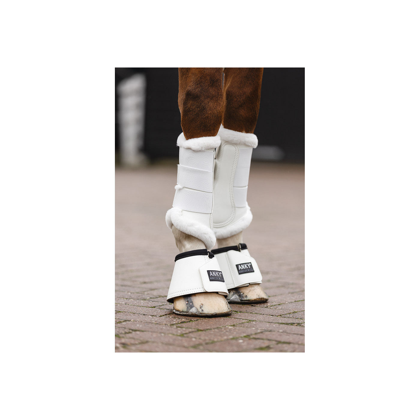 ANKY® Proficient Boots ATB23003
