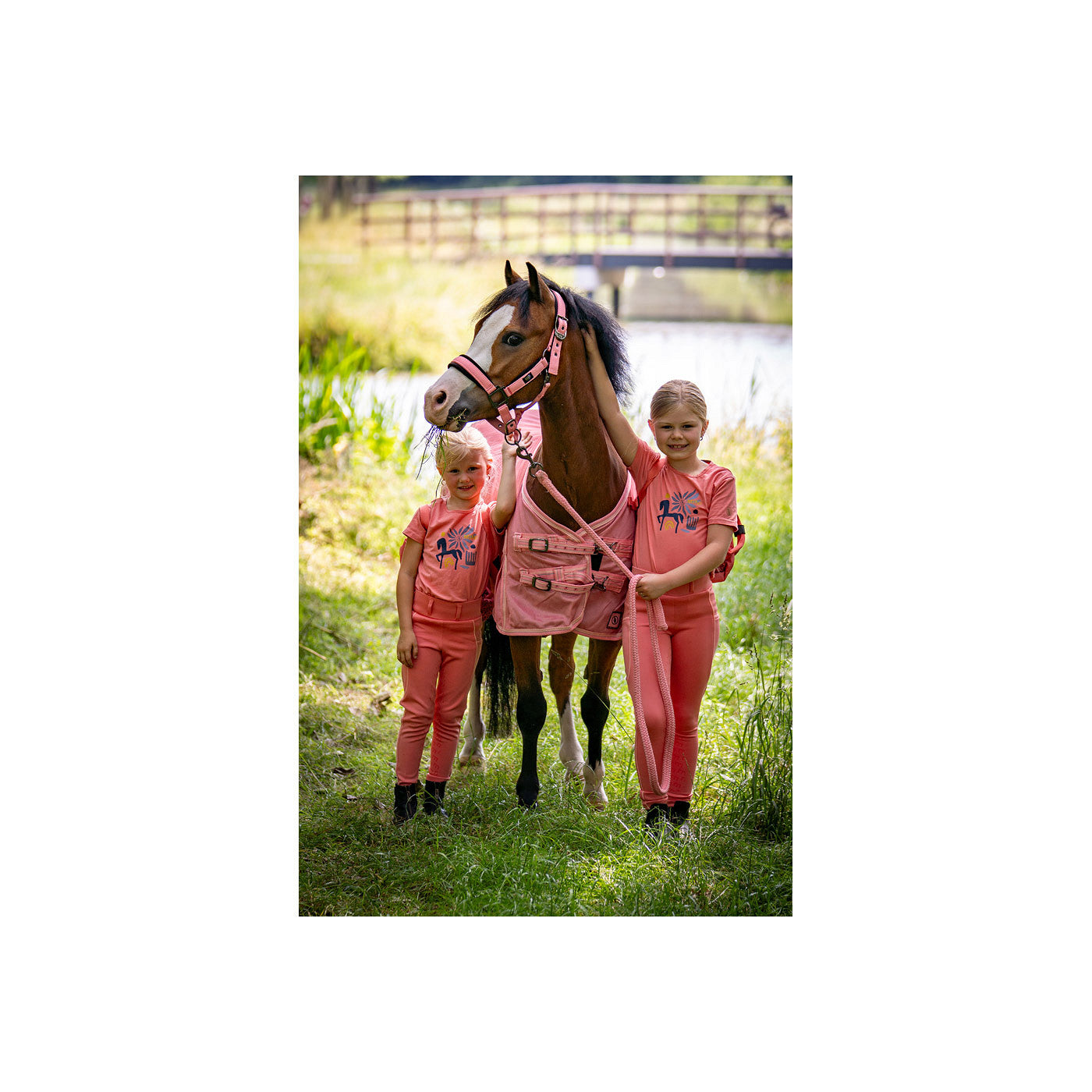 BR Mini Horse Halfter mit Karabinerstrick
