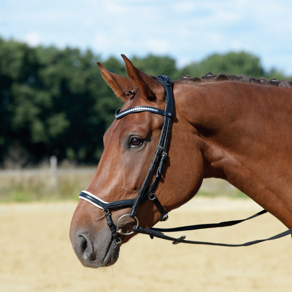 Trense EMOTION, anatomisch
