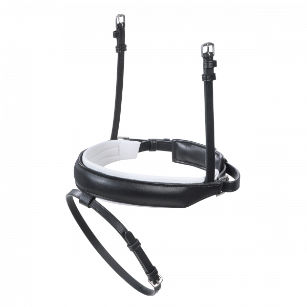 Schwedisches Reithalfter CHOOSE IT ST