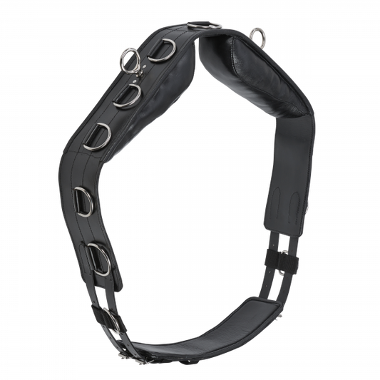 Longiergurt PROFESSIONAL-LEDER