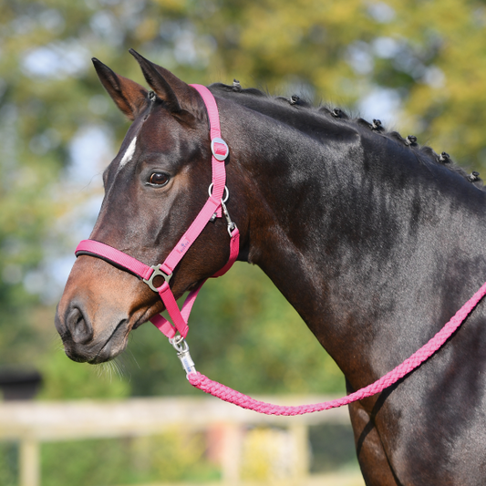 Halfter SUPREME für Ponys und Warmblut extra