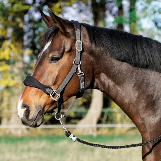 Ponyhalfter SOFT AIR