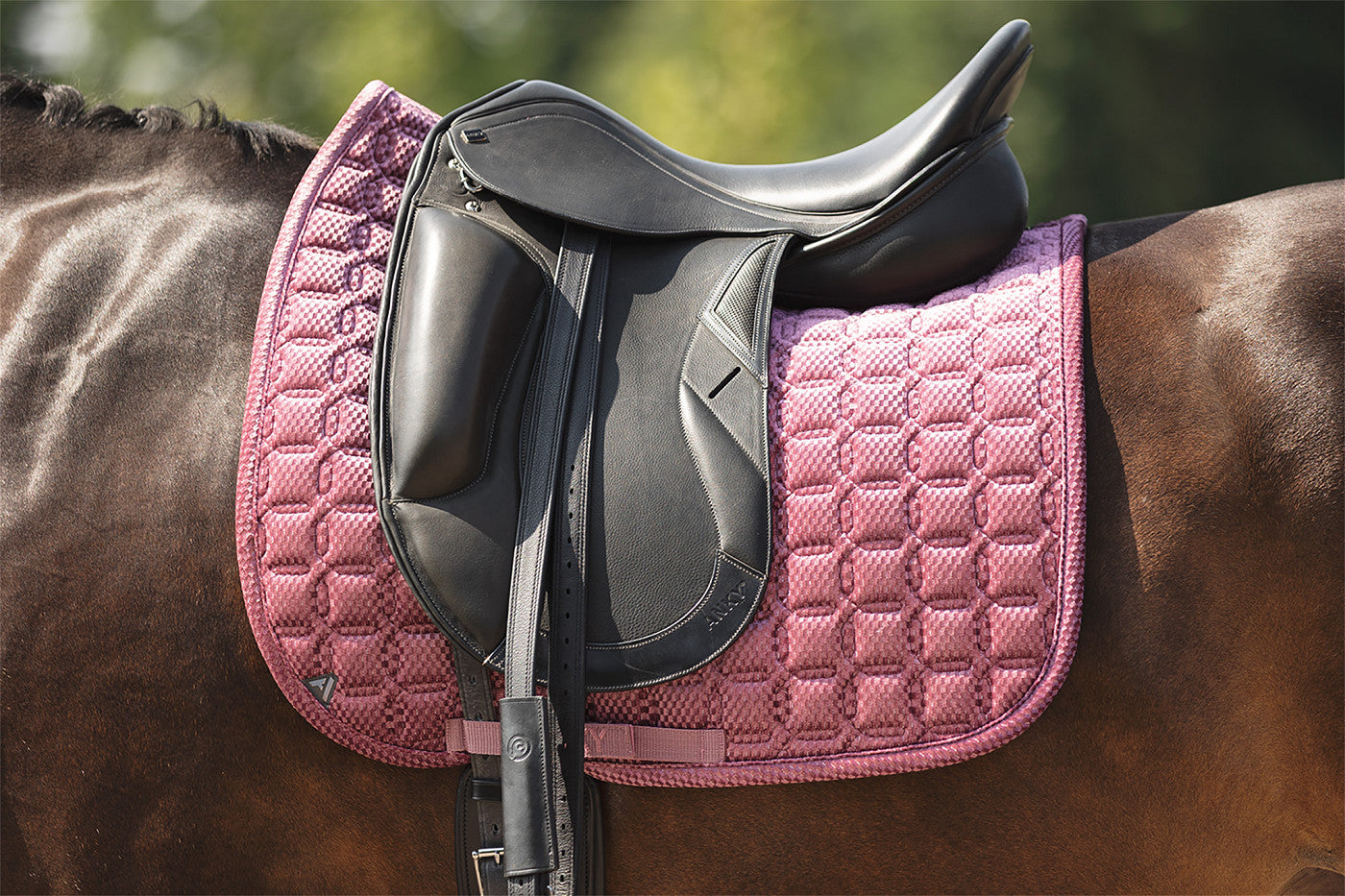 ANKY® Dressage Pad Check Velvet XB25003