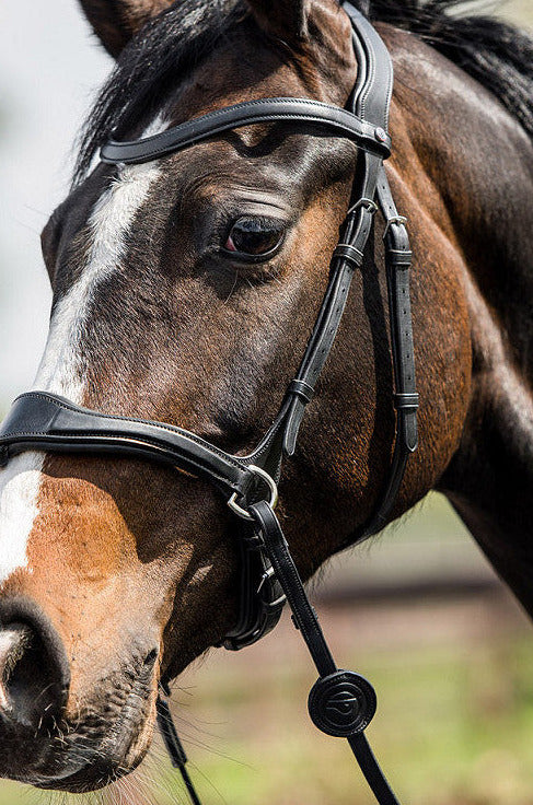 TRUST Falsterbo T-motion bridle