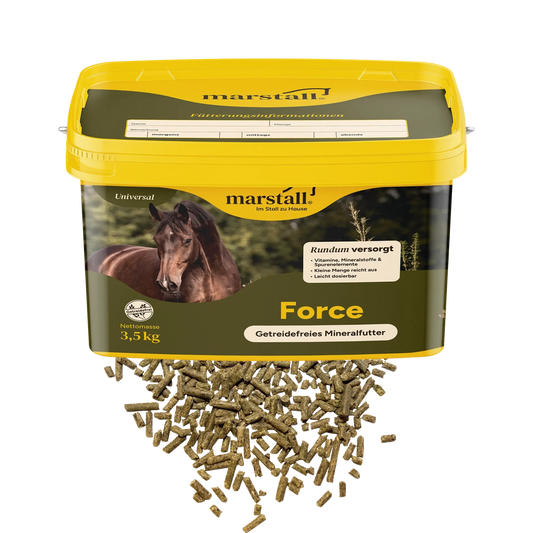 Marstall Force