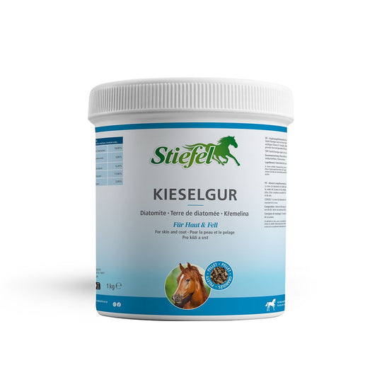 Stiefel Kieselgur 1kg